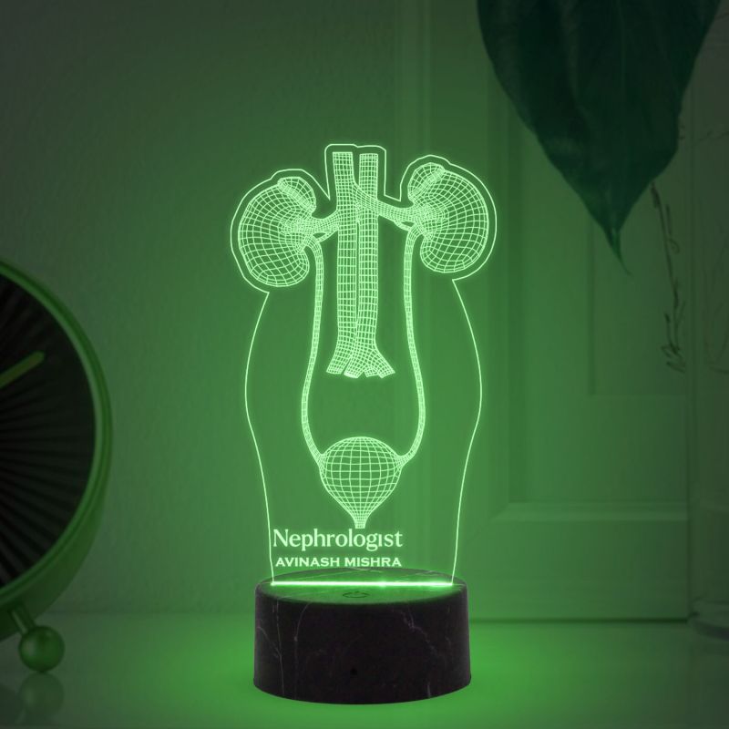 3D Illusion Kidney Led Lamp Nephrologist Kidney Light Multicolored Night Light with Remote Control